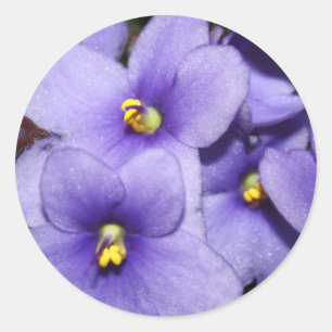 Pegatina Redonda Violet Boquet