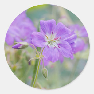 Pegatina Redonda Violet Geranium Wildflower Dreamy Nature Photo