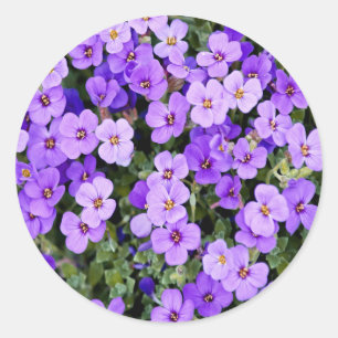Pegatina Redonda Violetas