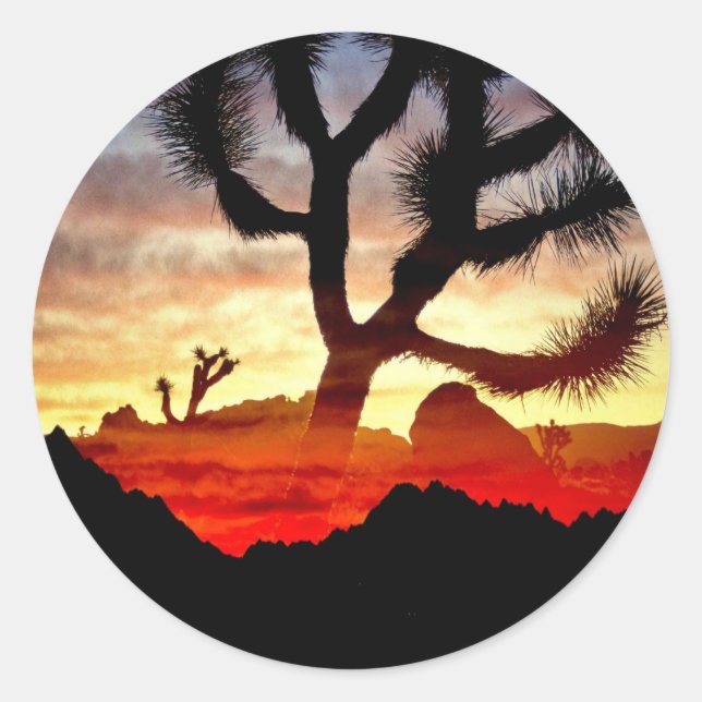 Pegatina Redonda visión cactus (Anverso)