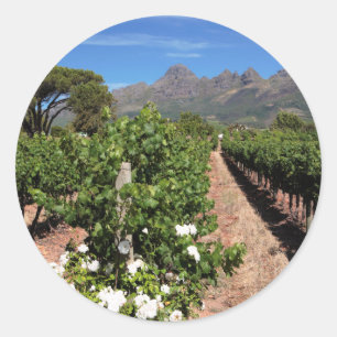 Pegatina Redonda Vista de viñedos. Stellenbosch