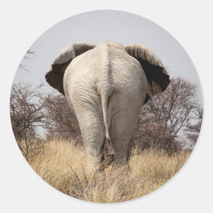 Pegatina Redonda Vista trasera del elefante