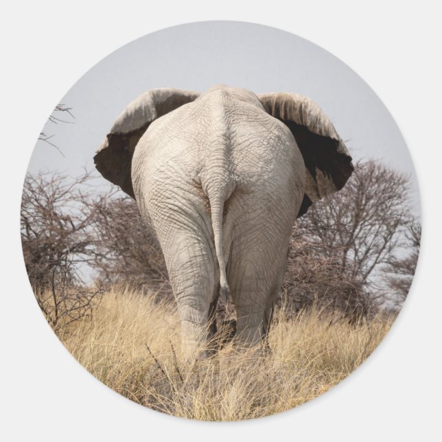 Pegatina Redonda Vista trasera del elefante (Anverso)