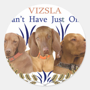 Pegatina Redonda Vizsla no puede tener solo un producto