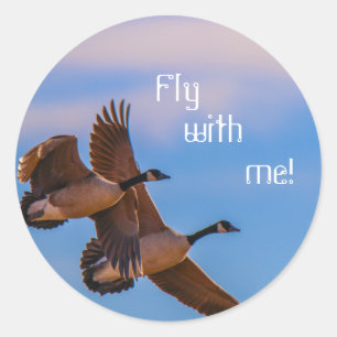 Pegatina Redonda ¡vuela conmigo!