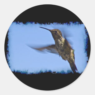 Pegatina Redonda Vuelo del colibrí