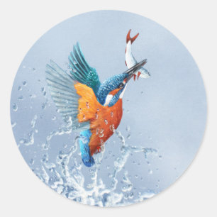 Pegatina Redonda Vuelo del martín pescador fuera del agua