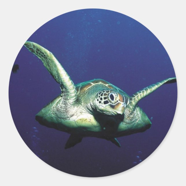 Pegatina Redonda Vuelo subacuático (Anverso)