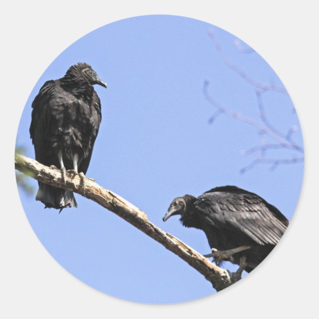 Pegatina Redonda Vulgares negros (Anverso)