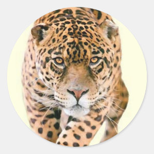 Pegatina Redonda Walking Jaguar Eyes