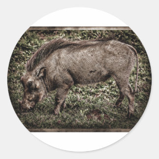 Pegatina Redonda Warthog.