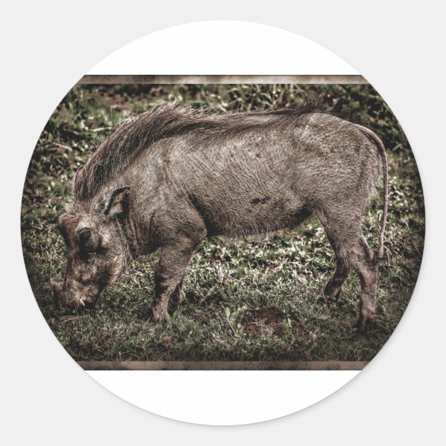 Pegatina Redonda Warthog. (Anverso)