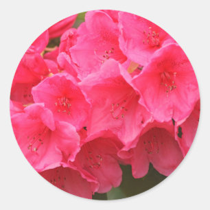 Pegatina Redonda Washington, Seattle, Puget Sound, Discovery Park