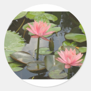 Pegatina Redonda Water Lillies