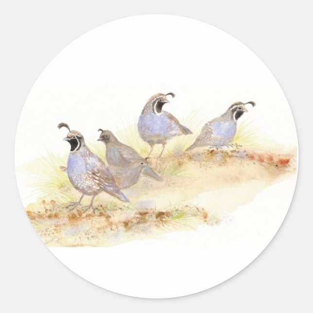 Pegatina Redonda  Watercolor California Quail (Anverso)