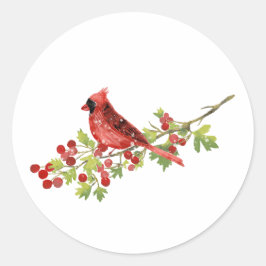 Pegatina Redonda Watercolor Cardinal Bird on Berry Branch