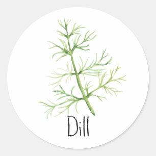 Pegatina Redonda Watercolor Herb Dill