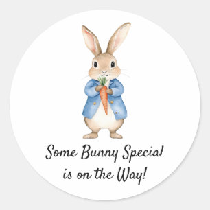 Pegatina Redonda Watercolor Peter Rabbit Garden Fiesta Baby Shower