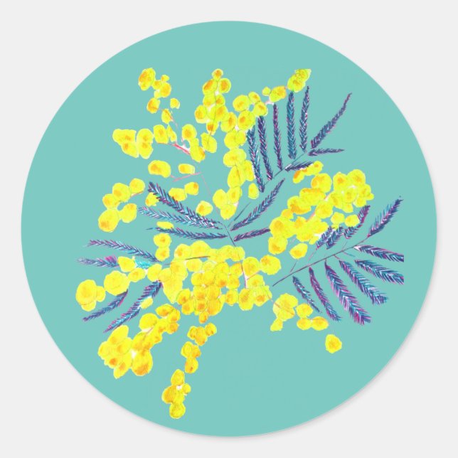 Pegatina Redonda Wattle Mimosa flor amarilla Australia (Anverso)