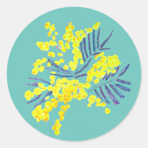 Pegatina Redonda Wattle Mimosa flor amarilla Australia