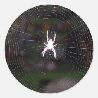 Pegatina Redonda Web de arañas
