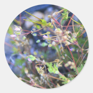 Pegatina Redonda Weeds