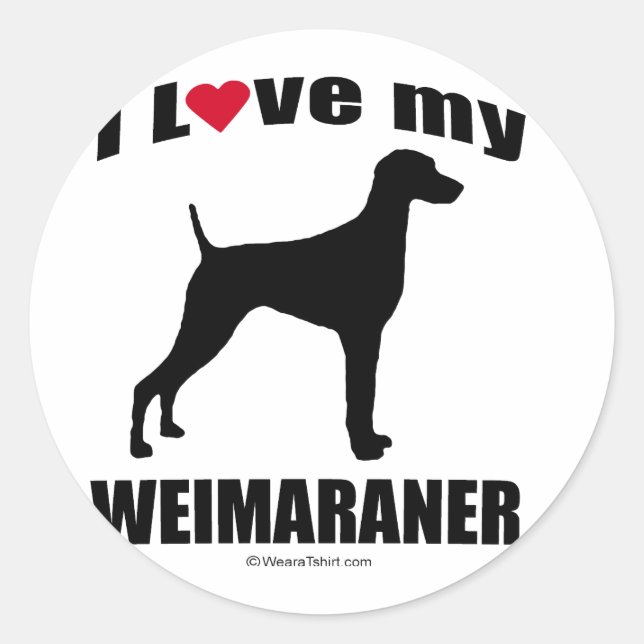 Pegatina Redonda Weimaraner (Anverso)