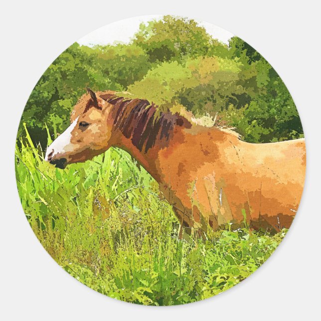 PEGATINA REDONDA WELSH MOUNTAIN PONY (Anverso)
