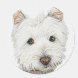 Pegatina Redonda Westie Dog