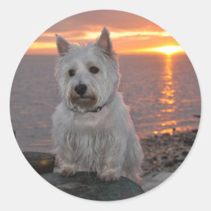 Pegatina Redonda Westie Sunset