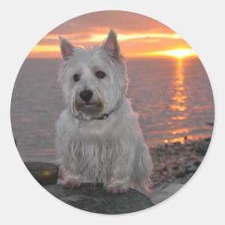 Pegatina Redonda Westie Sunset