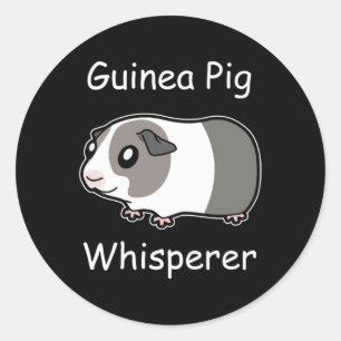 Pegatina Redonda Whisperer de cerdo de Guinea