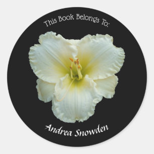 Pegatina Redonda White Daylily de 'Big Snowbird' en placa negra