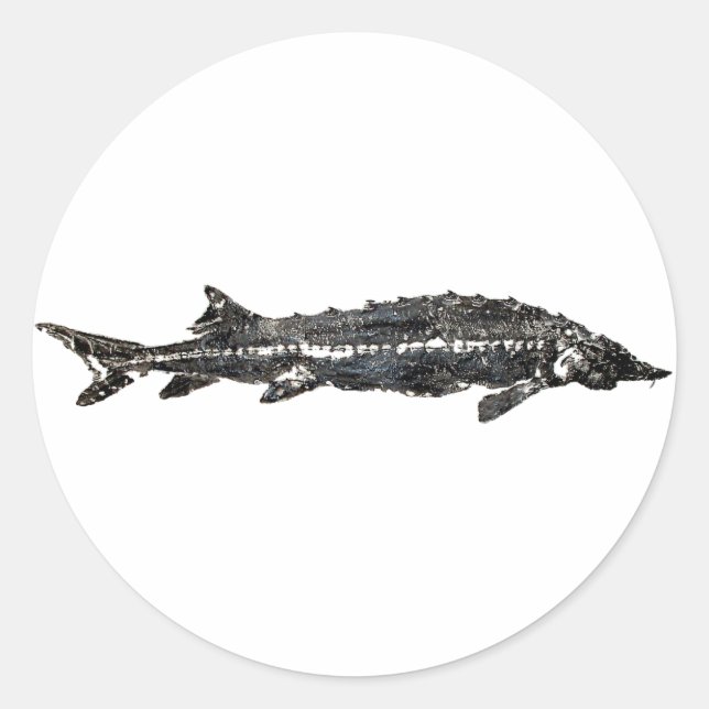 Pegatina Redonda White Sturgeon Gyotaku-40-Item (Anverso)