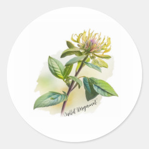 Pegatina Redonda Wild Bergamot