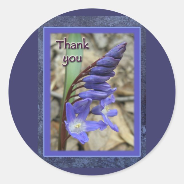 Pegatina Redonda Wild Blue Hyacinth Gracias (Anverso)
