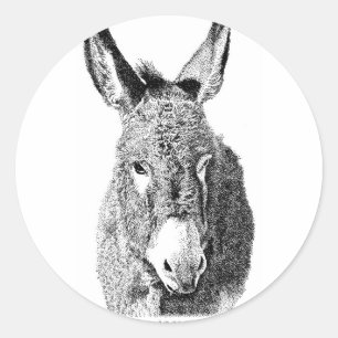 Pegatina Redonda Wild Burro