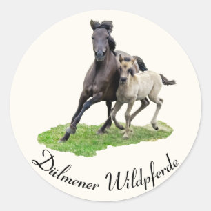 Pegatina Redonda Wild Dulmen Horse Mare Foal - Dülmener Wildpferde