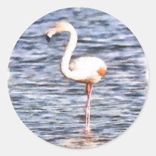 Pegatina Redonda Wild Flamingo