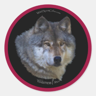Pegatina Redonda WILD GRAY WOLF Wildlife Pegatinas