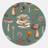 Wild Mushrooms  on pine green
