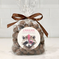 Wild One Mohawk Raccoon Baby Shower