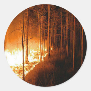 Pegatina Redonda Wildfire Blaze