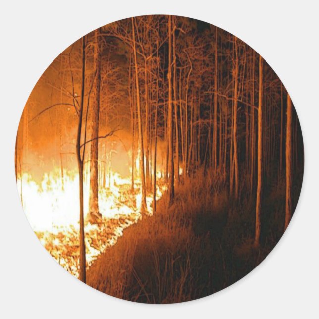 Pegatina Redonda Wildfire Blaze (Anverso)