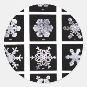 Pegatina Redonda Wilson Bentley Snowflakes