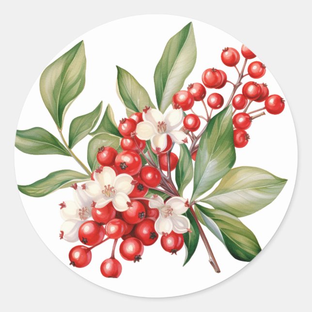 Pegatina Redonda Winter Berry Stickers (Anverso)