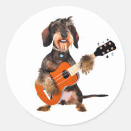 Pegatina Redonda Wirehair Dachshund Tocando Guitarra Acústica