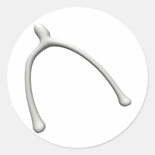 Pegatina Redonda Wishbone