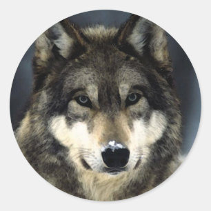 Pegatina Redonda Wolf