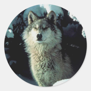 Pegatina Redonda Wolf